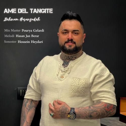 بهنام حسن زاده عامه دل تنگیته