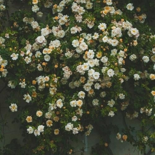 فاطمه مهلبان تو با من باش