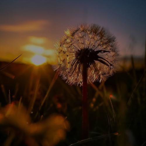  بذار یه نکته بگم ببین اینا همه توی مخته نه ربطی داره