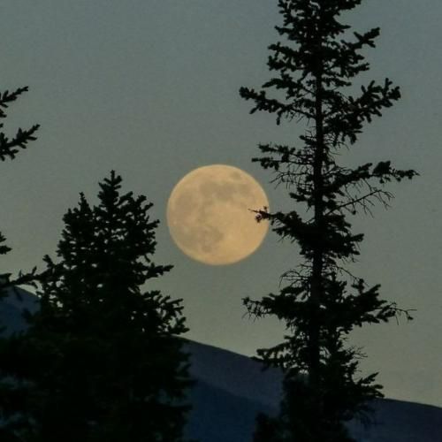 برخلاف میل من بود همیشه رفتارت