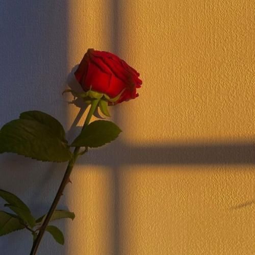 تا یه نخ سیگار میکشم یه جا میریزه (ترند اینستایی)