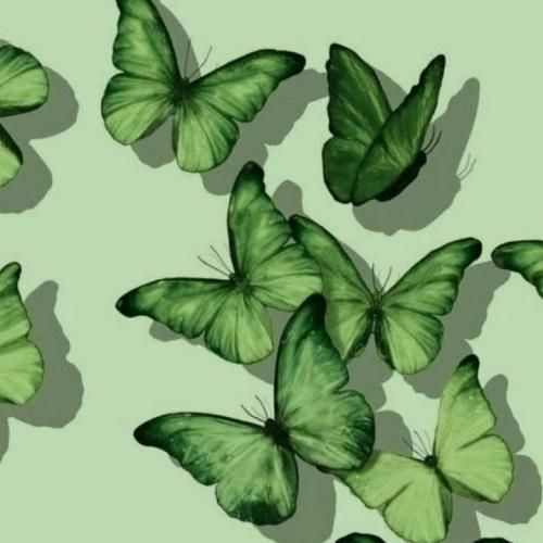 یه روز یه قاصدک تو هوا میزد پرسه ناراحت و گریون