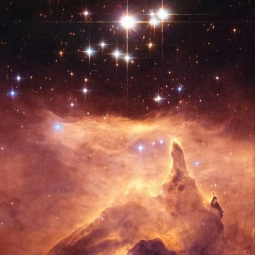 سنا برزنجه قربانی