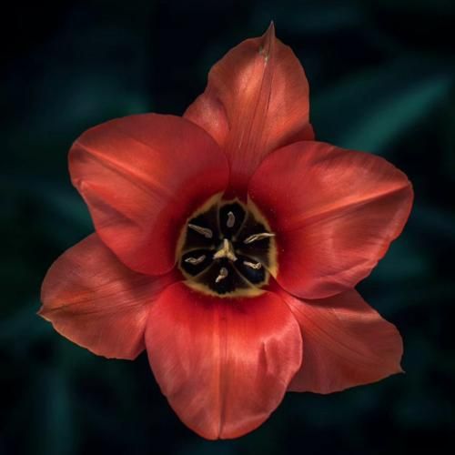 با آفتاب وا میشه پلکام قرص های اعصاب