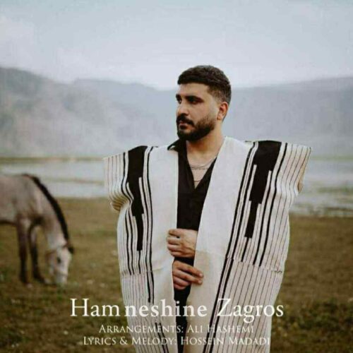 آهنگ جدید همنشین زاگرس از محمد بابادی