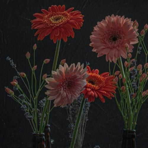 سیمگه یاز یاز