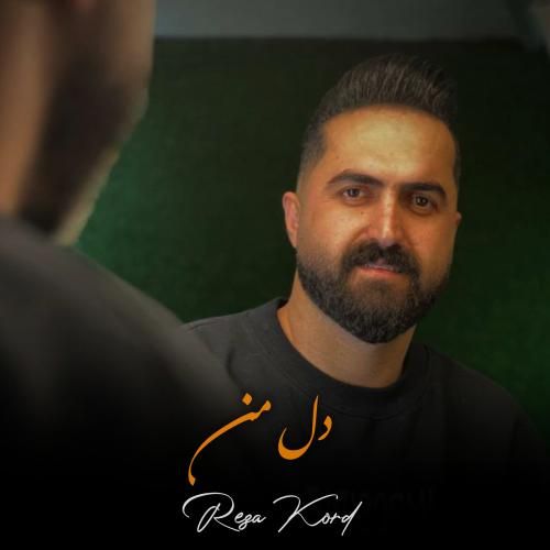 رضا کرد دل من