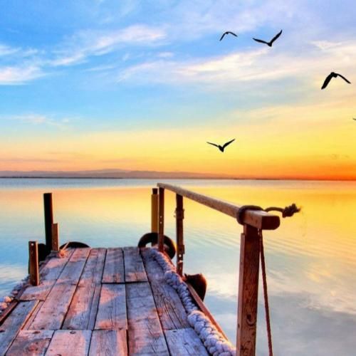 دنیا همینقد باهات بی رحمه حال تورو کسی نمیفهمه