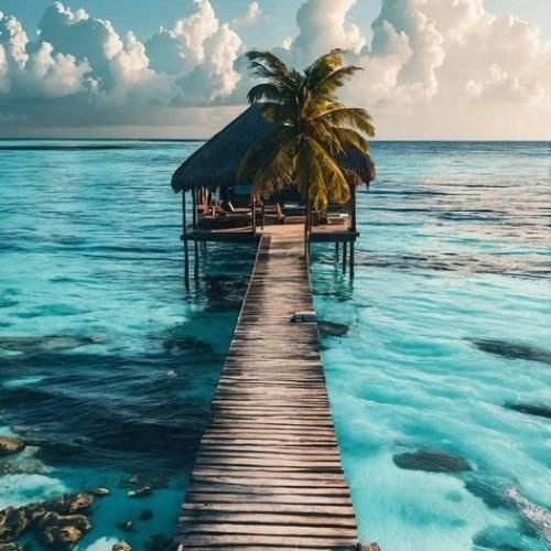 دلی که رو هوا زدی دادی دست باد ببره با صدای زن