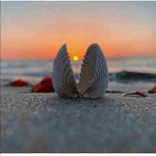 هشتاد و یک نیست هفتاد و هفته رو کردم من برگاتو بچه