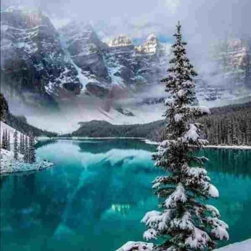  قد و بالاشو بگردم بگردم چشم سیاهشو بنازم