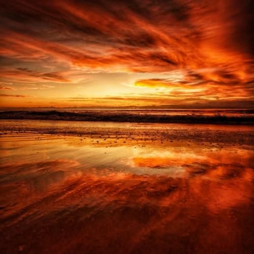 ناتکوینو نیستم همسترو آره به امید لیستم