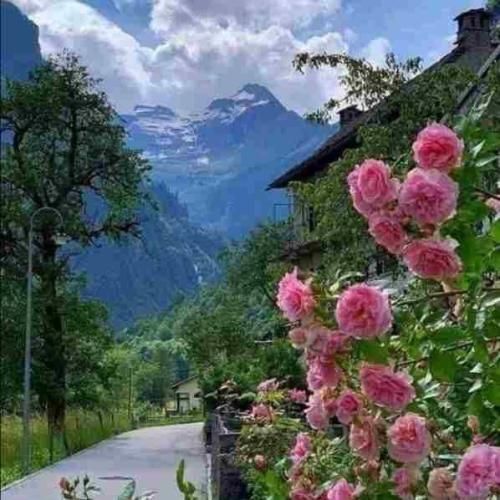 من دیدم تهشو میرم از پیشت