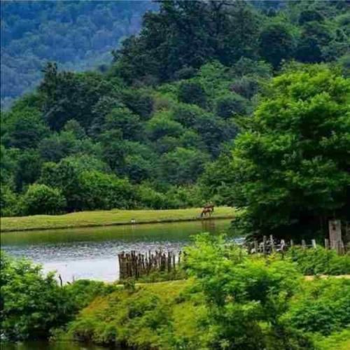 اینجارو میخوامش با تو ندزد از من چشماتو