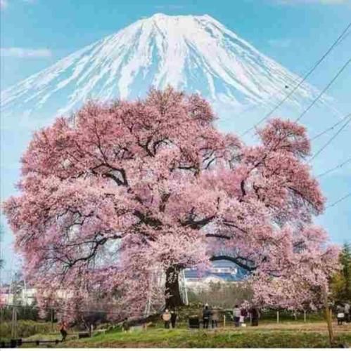 هرکی بد مارو میخواد بده بره