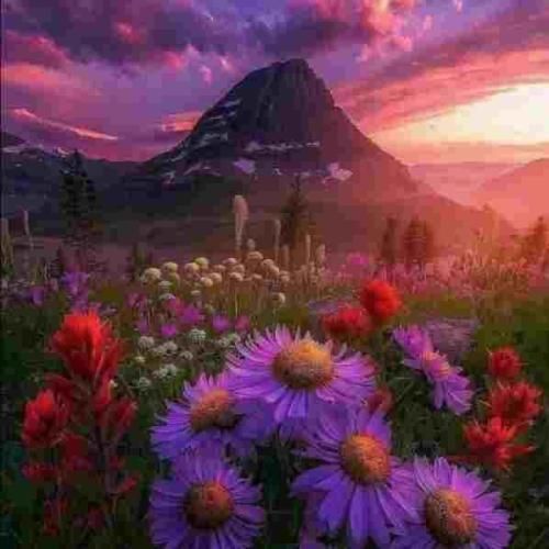  این پشه ها چه لوسن هی نینی رو می بوسن صدای بچه