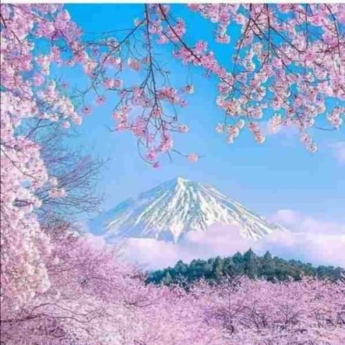 بارون برای عاشق به خدا انصاف نیست هوش مصنوعی