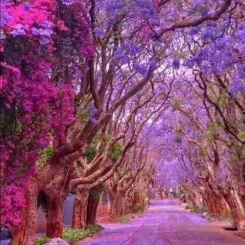 من بی تو نمیتونم تو این دنیا بمونم ورژن فارسی