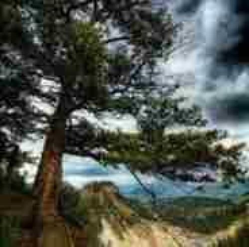 همه کردن تو شرایط بد ترکم