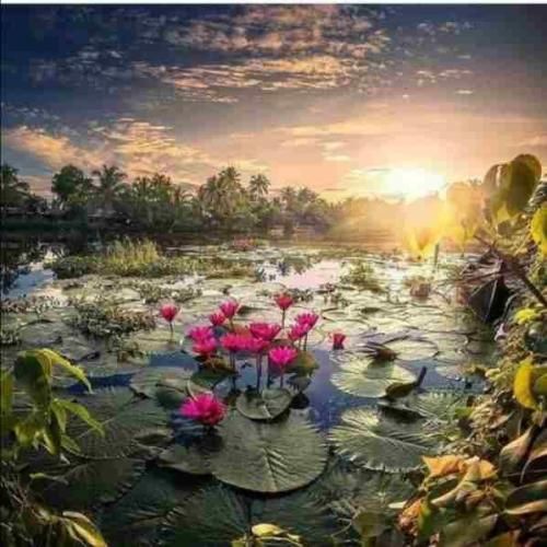 تنها چیزی که مهمه خودمم تنها چیزی که مهمه موزیکه