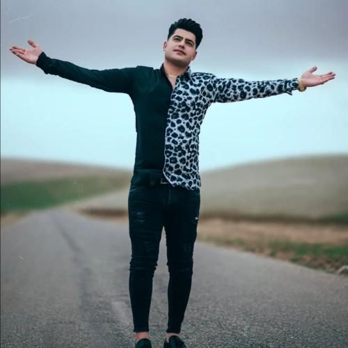 امیرحافظ رنجبر بال بی شاپر فسیل بی در