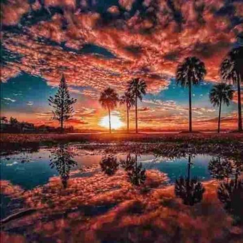  عاشق و اسیرو رامت دیوونه ی هر کلامت