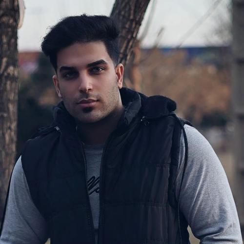 رضا تیموری میخ کوب