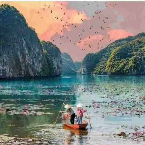 دانیال تفرشی بی تفاوت سرم پایین اوردم