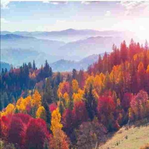 یه روزی میام تو دامت اما حالا خیلی زوده