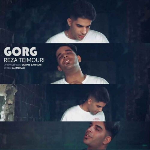 آهنگ جدید گرگ از رضا تیموری