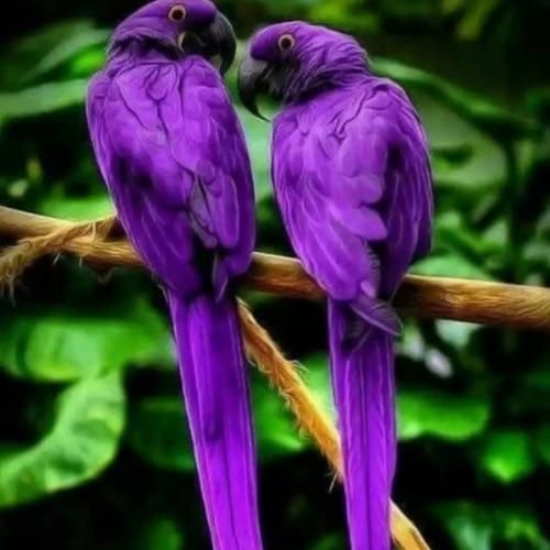 الف ب پ ت ث ج چ ح (ترند اینستایی)