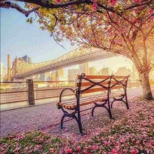 ری دلوم سنگینه غم دل بی قراره صدای زن