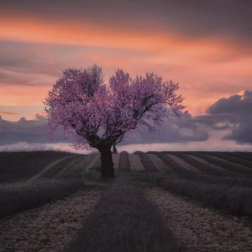  خارجی ما پول درمیاریم ما ستاره ایم