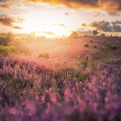  قبلنا میگفتی تو قصت یه قهرمانم