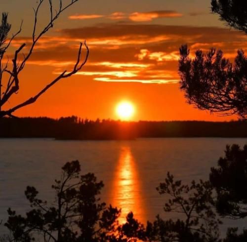 این یه حس جدیده یکی دوباره با صدای دختر