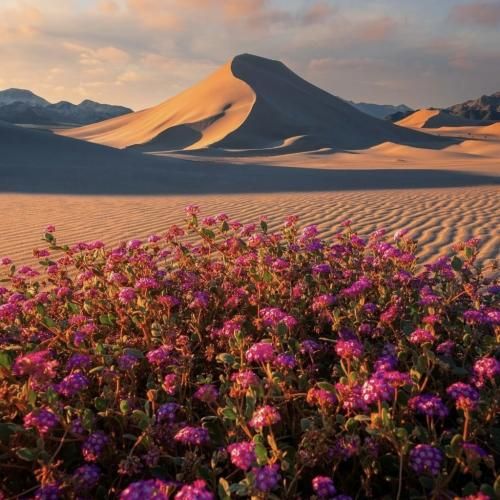  خارجی استار استار استار یه ستاره درخشانیم