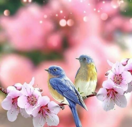 تو برعکس از قصد سردی حتی وقتی بام میرقصی دم صبح