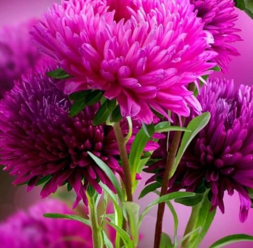 هوا که تاریک بود دلم ارای تو گری