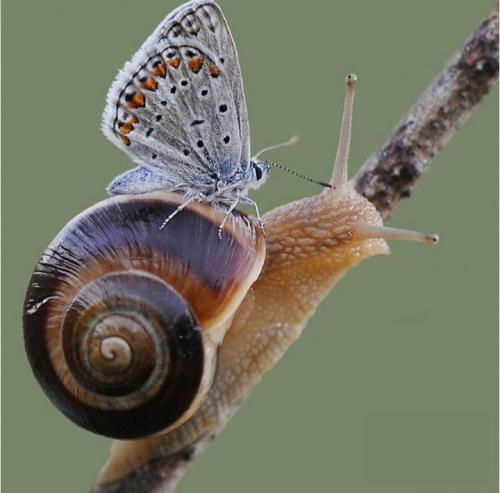 تو میدونی که تو دستات واسه من عمر دوبارست با صدای زن