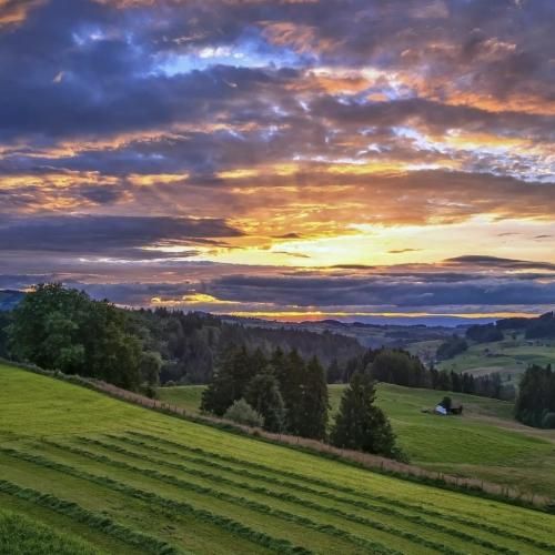 چقد امشب خرابم نمیتونم بخوابم با صدای پسر