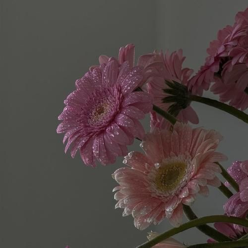 سیندرلا عروس شد قصه ما تموم شد