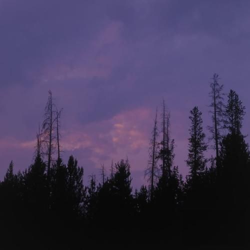 بی دلیل هی اوقاتم تلخه اخلاقم صبحا نچسبه