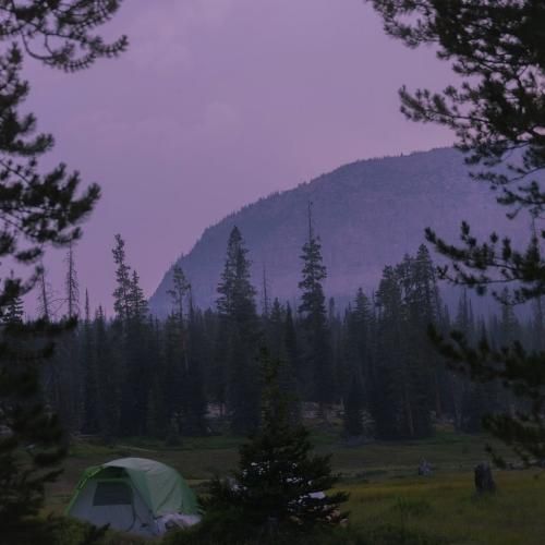  قطار قطار مورچه راه افتادن تو کوچه با صدای بچه