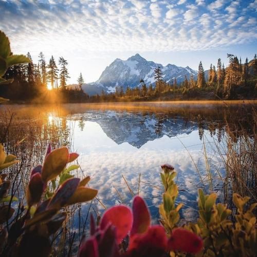 ولی من واسه دل تو همه کاری کردم با صدای پسر