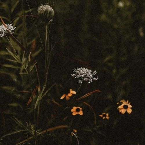 هر شب گفتگو میکنم با خودم و خدای خودم (کوردی)