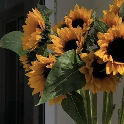 نصف شب میشینم اینجا تنها بی تو