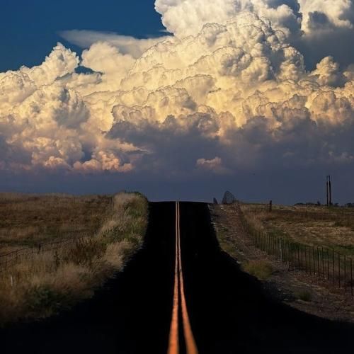 کافه رو بی تو نمیخوایم یه لحظه ترند اینستایی