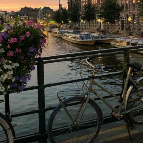 بیا که زندگی رو چشمتو ببینم این دیار غربت