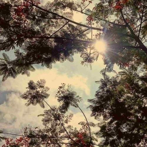 گنجشکک اشی مشی لب بوم ما مشین