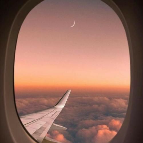 دافت پلنگه چش قشنگه ولی یجای کارش میلنگه